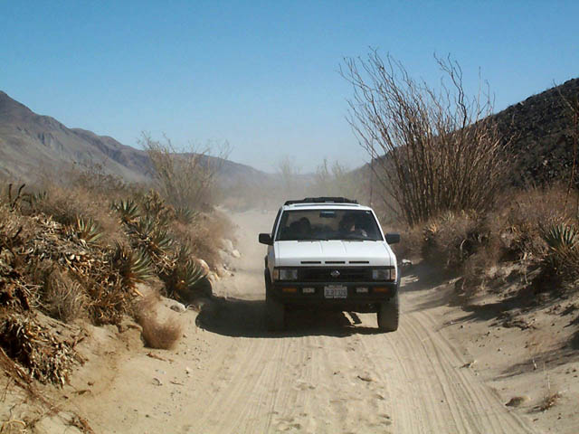 DCP_1498