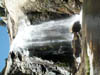 DCP_1061