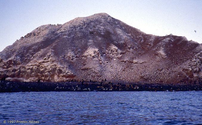 Isla Lobos