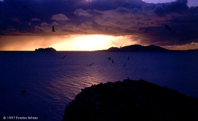 Stormy Dawn