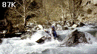 bouncing along (87K)