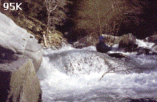 creek shot (95K)