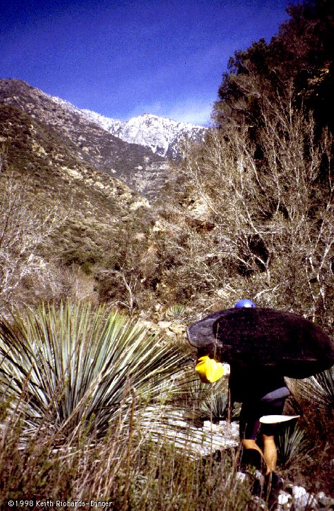 hiking towards the source