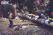 Long Log Camp (60K)