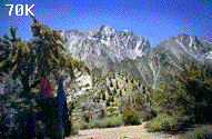 Mt Tindall (70K)