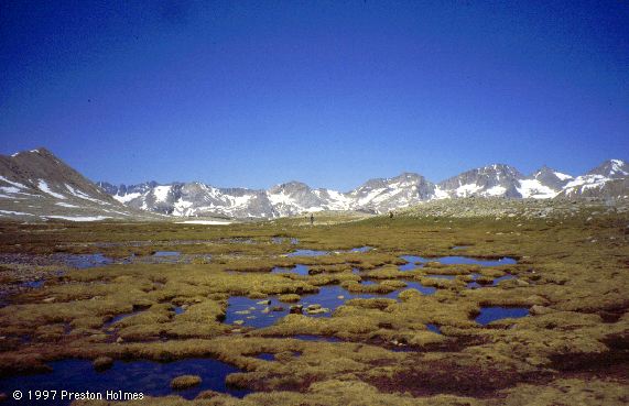 Alpine Marsh