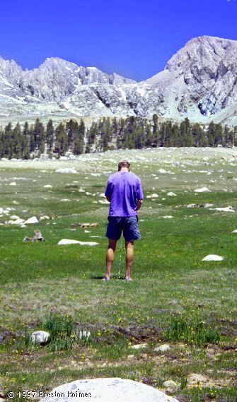 High Sierra Fertilizer