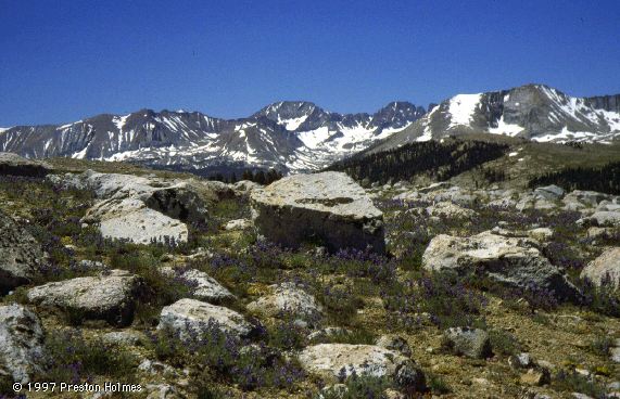 Marmot Country