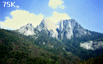 View (75K)