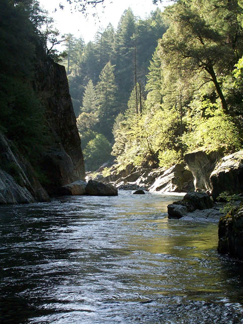 DCP_0801