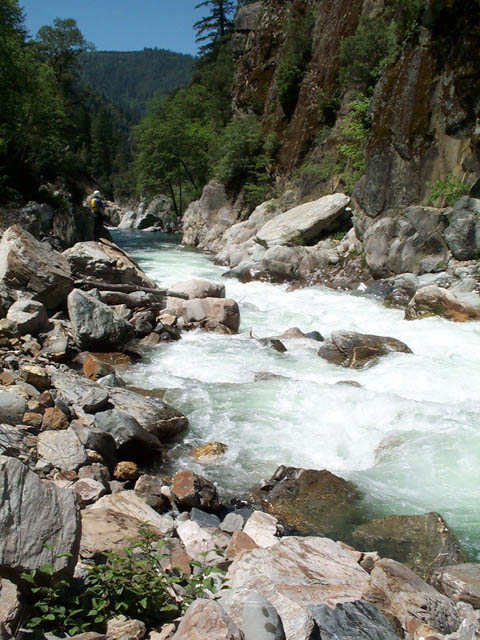 DCP_0807
