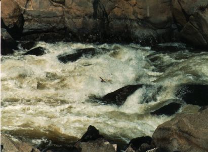 Fin Rock - in hole