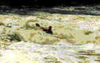 big_hole3