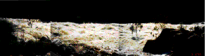 montage