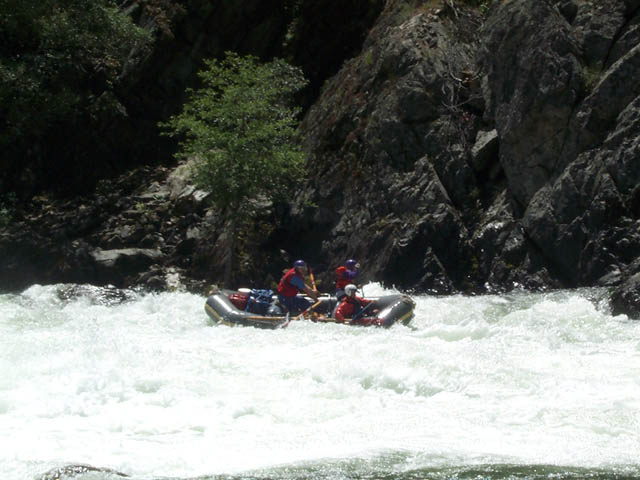 DCP_0695