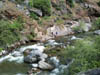 DCP_0731