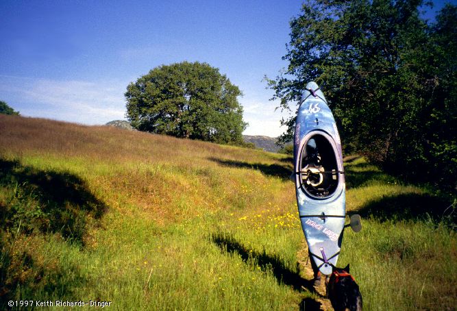 The Hike In