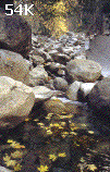 Leaves in the Creek (54K)
