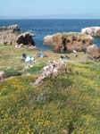 DCP_1965